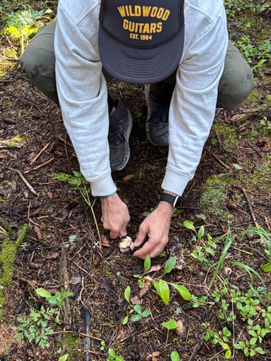 Rocky Mountain Foraging Hike for Two