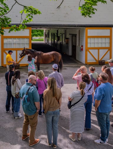 Claiborne Farm Stallion Barn Tour