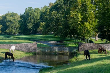 Claiborne Farm Stallion Barn Tour