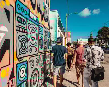Wynwood Walls Street Art and Neighborhood Walking Tour