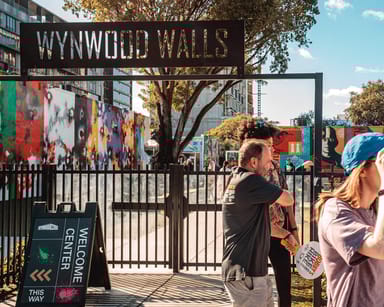 Wynwood Walls Street Art and Neighborhood Walking Tour