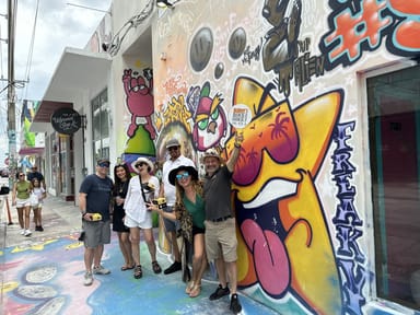 Wynwood Walls Street Art and Neighborhood Walking Tour