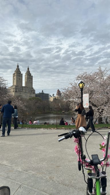 Home Alone and Elf Movie Locations Private Pedicab Tour