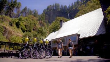 Self-Guided Multnomah Falls E-Bike Tour