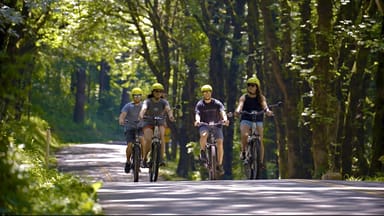 Self-Guided Multnomah Falls E-Bike Tour
