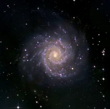 Stargazing Party at the Robert Ferguson Observatory