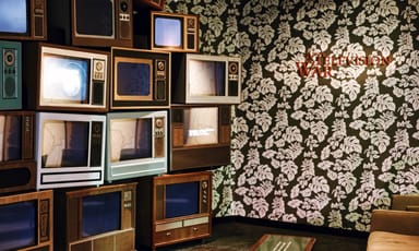 Smithsonian National Museum of Natural History and Museum of American History Tour