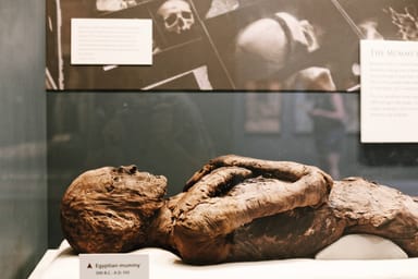 Smithsonian National Museum of Natural History and Museum of American History Tour