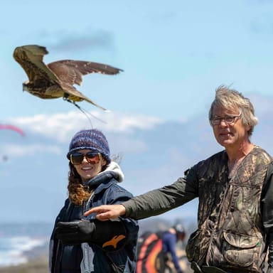 Hands-On Public Falconry Experience