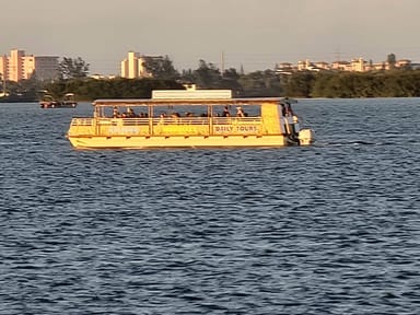 Dolphin and Wildlife Cruise in Cocoa Beach