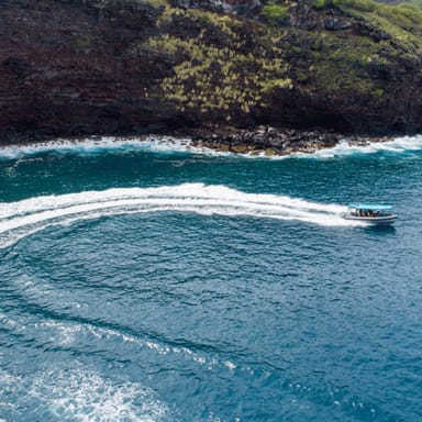 Morning Snorkeling Tour with Tropical Lunch