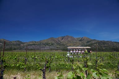 Trolley Wine Tasting and Vineyard Tour for Two at St. Francis Winery