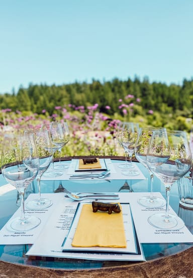 Classic Wine Tasting and Cheese Plate for Two at Marimar Estate