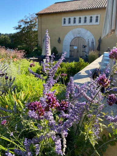 Marimar Estate Private Winemaker Lunch, Wine Pairing, and Tour for Two