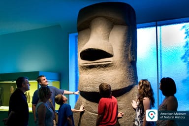 Go City | New York City Essentials Pass - 3 Attractions