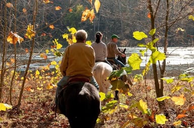 Scenic Horseback Ride for Two in Shenandoah Valley