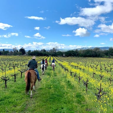 Vineyard Horseback Ride and Wine Tasting for Two