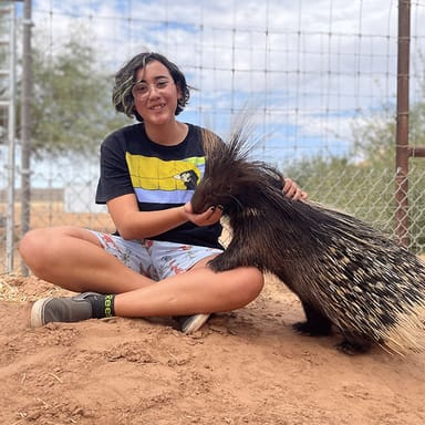 Camel Safari Zoo Tour and Tram Ride