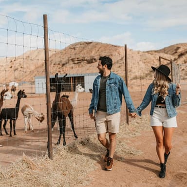 Camel Safari Zoo Tour and Tram Ride