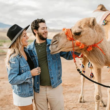 Camel Safari Zoo Tour and Tram Ride