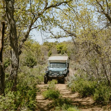 4x4 Brushy Cove Jeep Tour