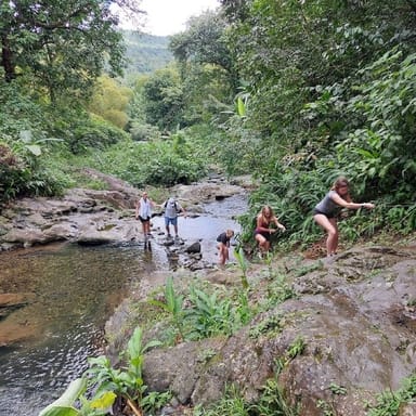 Private Rainforest Tour and Mar Chiquita Beach Hike