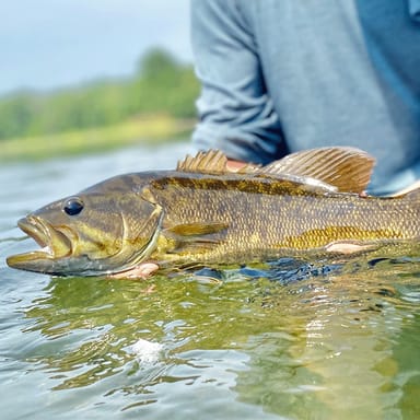 Guided Fly Fishing: Private Float Trip