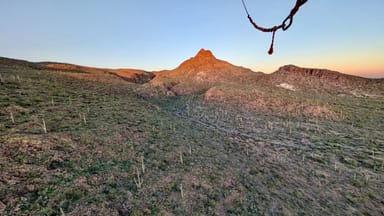 Morning Hot Air Balloon Ride with Breakfast and Champagne