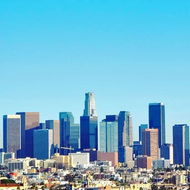 Downtown L.A. & Coastline Helicopter Tour