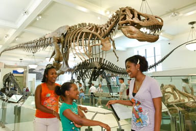 Go City | New York City Essentials Pass - 3 Attractions