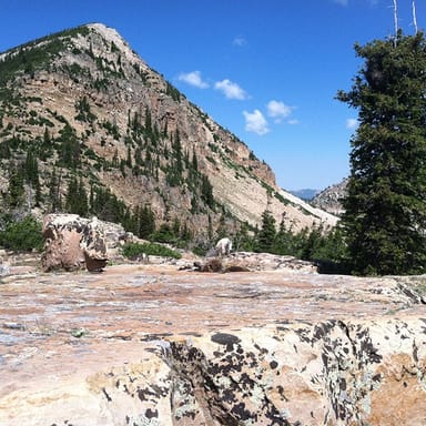 Uinta Mountains Half-Day Hiking Tour