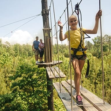 Treetop Adventure with Go Ape