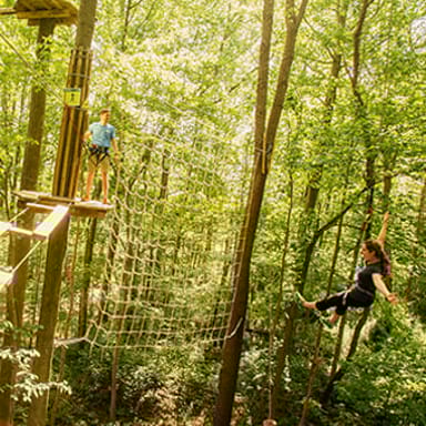 Treetop Adventure with Go Ape
