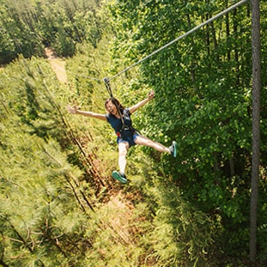 Treetop Adventure with Go Ape