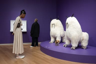 Museum of Arts and Design Admission in New York City