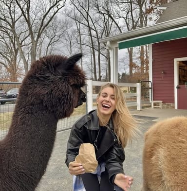 Alpaca Walk and Farm Tour in New Jersey