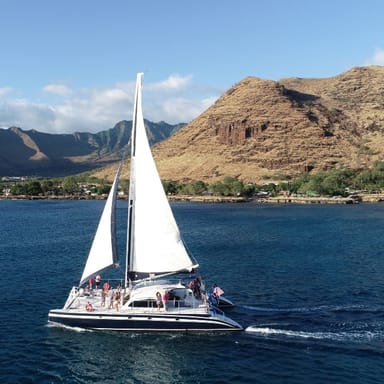 Morning Catamaran Sail and Snorkel with Transportation