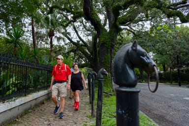 Explore Historic New Orleans: Hidden Garden District Tour