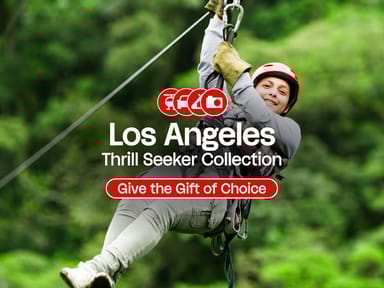 Los Angeles Thrill Seeker 1