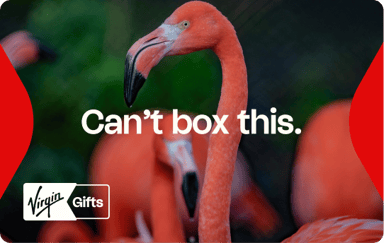 Virgin Gifts eGift Card