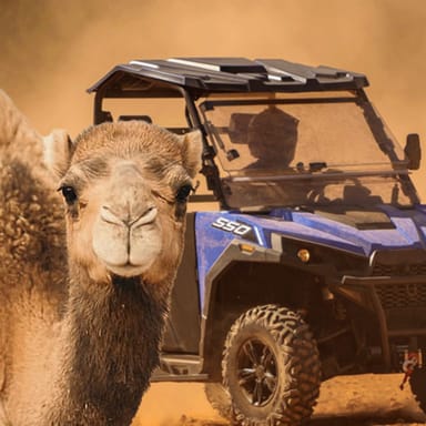 Camel Safari Zoo Tour and UTV Adventure