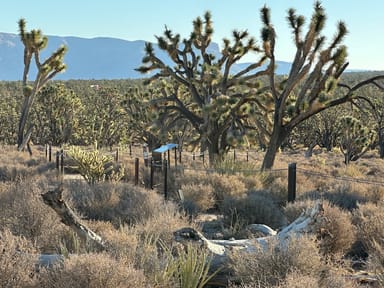 Ultimate Grand Canyon Scenic Drive and Helicopter Tour