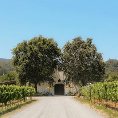 Wine Tasting for Two plus Appetizer and Take-Home Bottle at Amista Vineyards