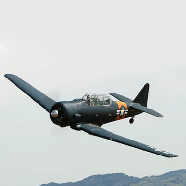 The Ultimate Three Warbird Flight Experience