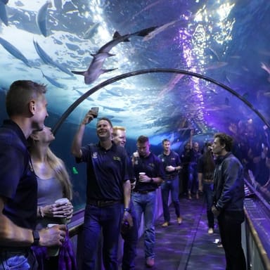 VIP Adventure at the Aquarium of the Bay