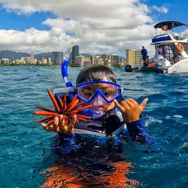 Waikiki Turtle Canyon Snorkel Tour