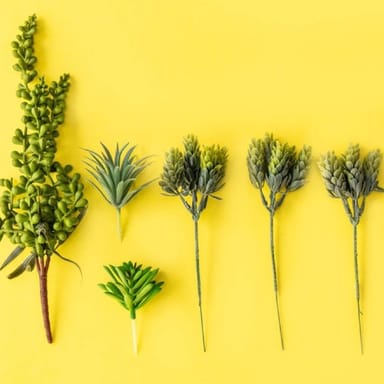 At-Home DIY Wall Terrarium Kit 