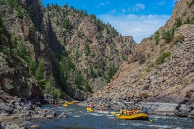 Gold Rush Clear Creek Rafting Adventure 