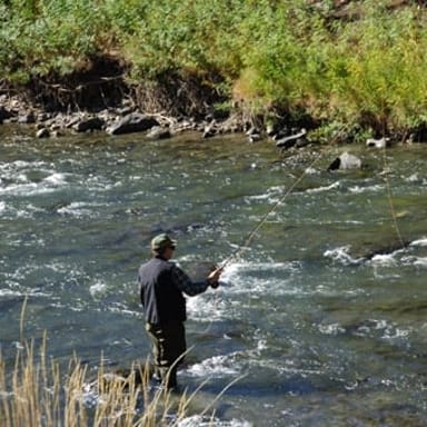 Guided Fly Fishing