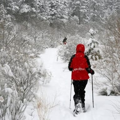 Snowshoeing Tour